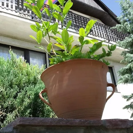 Aniko Apartman