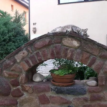 Aniko Apartman Apartment *