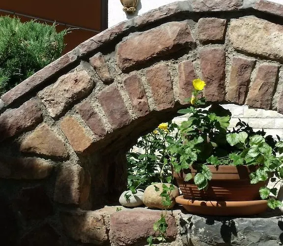 Aniko Heviz